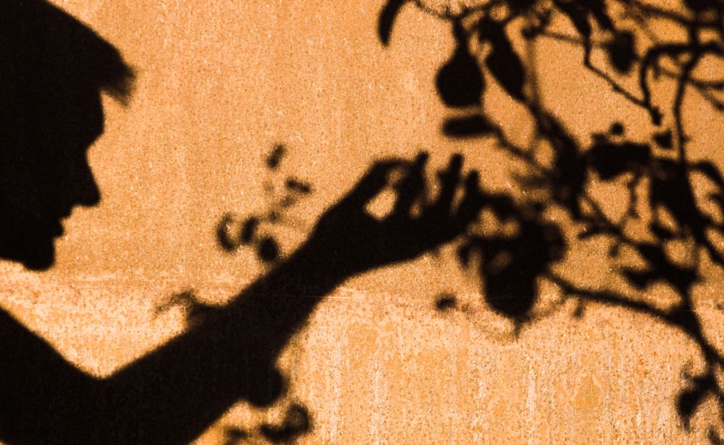 কয়েকটি পাপ থেকে দূরে থাকা ও পাপ থেকে বেচে থাকার উপায়মুক্তির উপায়