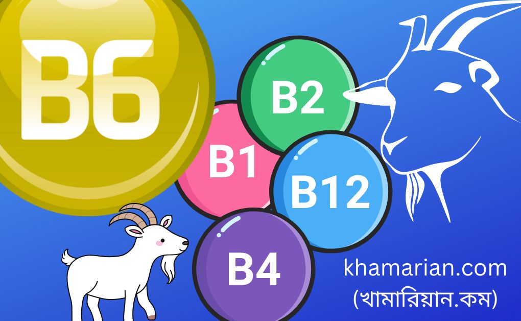 ছাগলের ভিটামিন বি কমপ্লেক্স (Chagoler Vitamin B Complex)