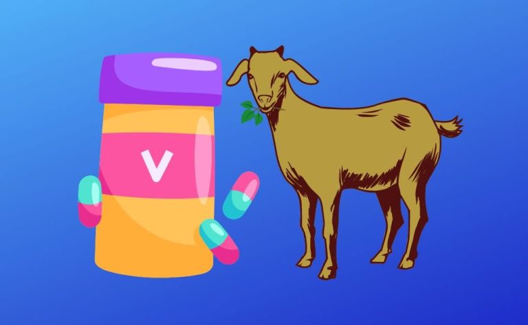 ছাগলের ভিটামিন মিনারেল প্রিমিক্স (Goats Vitamin Mineral Premix)