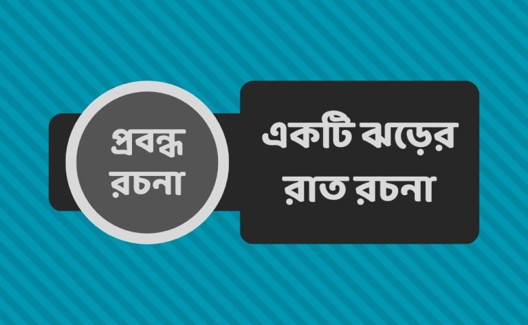 একটি ঝড়ের রাত রচনা
