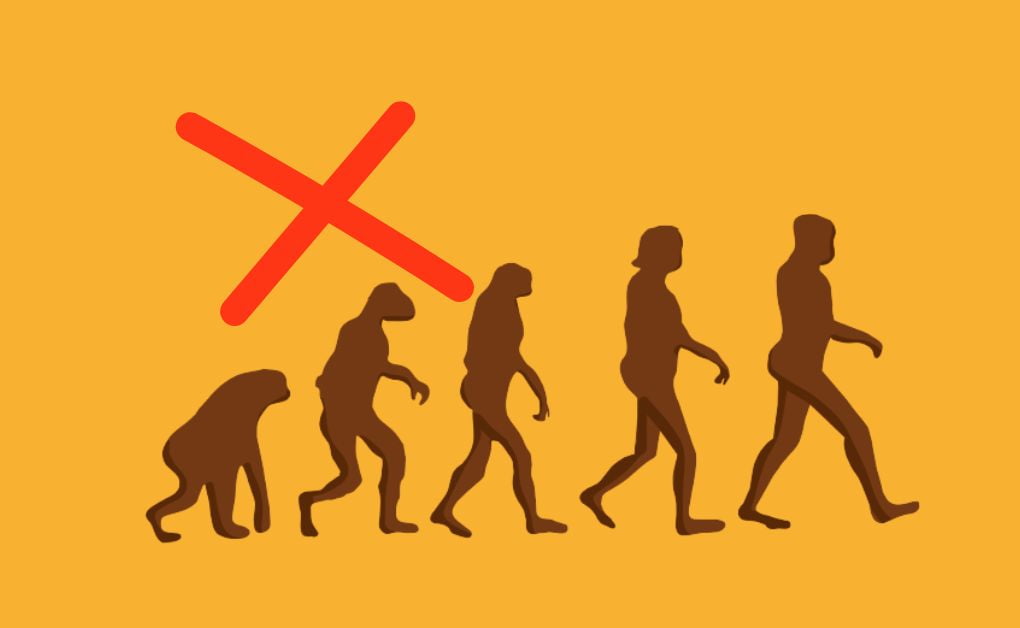 কোরআন বলে আল্লাহ আদম হাওয়া থেকে সমগ্র মানব জাতিকে সৃষ্টি করেছেন মহান আল্লাহ আর বিজ্ঞান