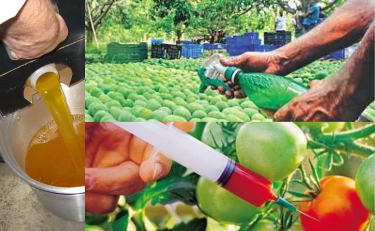 খাদ্যদ্রব্য সংরক্ষণে রাসায়নিক পদার্থের ব্যবহার, খাদ্যে ভেজাল ও রঞ্জকের ব্যবহার, স্বাস্থ্যঝুঁকির কয়েকটি ক্ষতিকারক দিক এবং খাদ্যে যেসব রাসায়নিক দ্রব্য ও ভেজাল থাকে তার তালিকা।