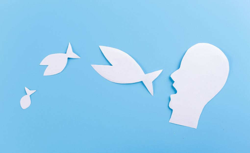 খাদ্যশিকল বা খাদ্যশৃঙ্খল কীকাক বলেবলতে কি বুঝায়