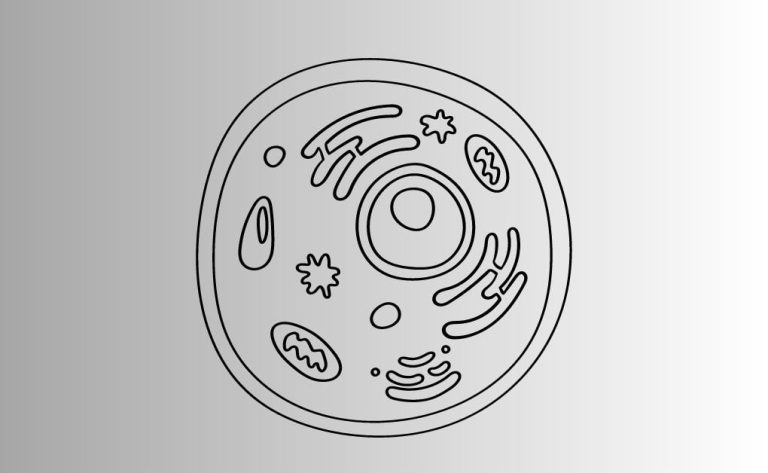 জীবকোষ কী বা কাকে বলে কোষের প্রকারভেদঃ আদিকোষ, প্রকৃত কোষ, দেহকোষ, জননকোষ।