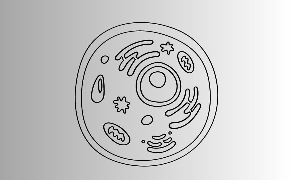 জীবকোষ কী বা কাকে বলে কোষের প্রকারভেদঃ আদিকোষ, প্রকৃত কোষ, দেহকোষ, জননকোষ।