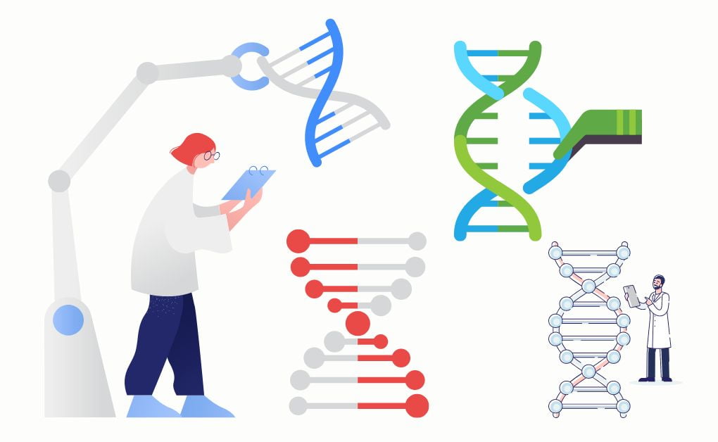 জেনেটিক ইঞ্জিনিয়ারিং কি/কাকে বলে? জিএমও (GMO) বা রিকম্বিনেন্ট DNA প্রস্তুত করার ধাপসমূহ, রিকম্বিনেন্ট DNA প্রযুক্তি ও জেনেটিক ইঞ্জিনিয়ারিংয়ের ব্যবহারের ক্ষেত্রে সমূহ।