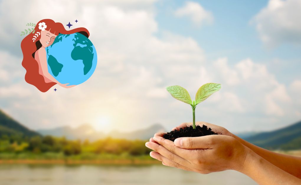 পরিবেশ সংরক্ষণের গুরুত্ব ও পদ্ধতি