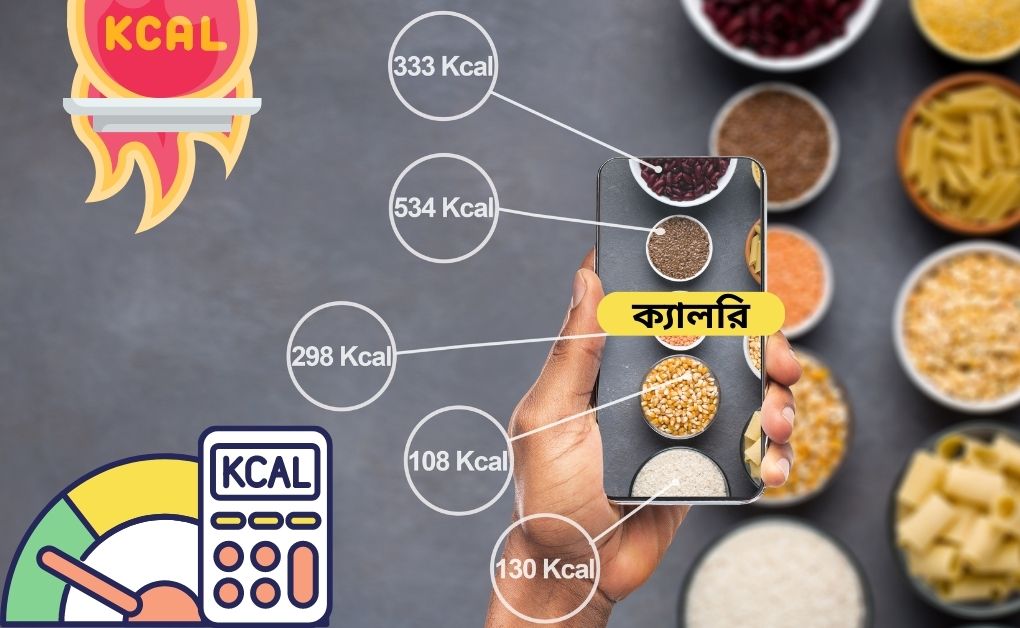 পুষ্টির উপাদানে শক্তিঃ খাদ্য শক্তি পরিমাপের একক, পুষ্টির উপাদানে তাপশক্তি নির্ণয় ও খাদ্য উপাদানে খাদ্য ক্যালরির পরিমাণ।