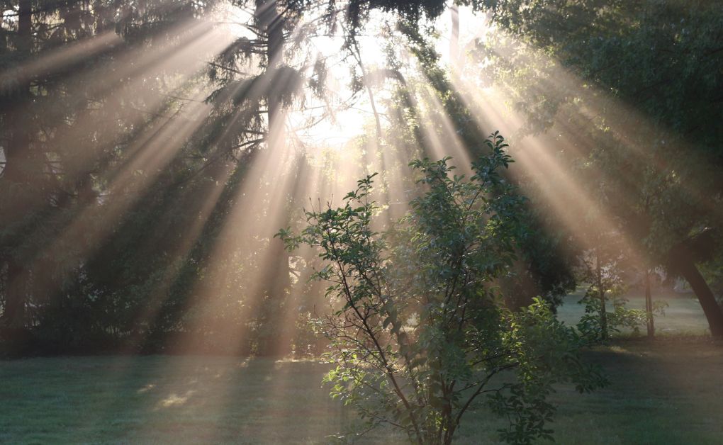 প্রশ্ন আদমকে না হয় পথভ্রষ্ট করলো ইবলিশ, তাহলে ইবলিশকে পথভ্রষ্ট করলো কে সৃষ্টিকর্তা