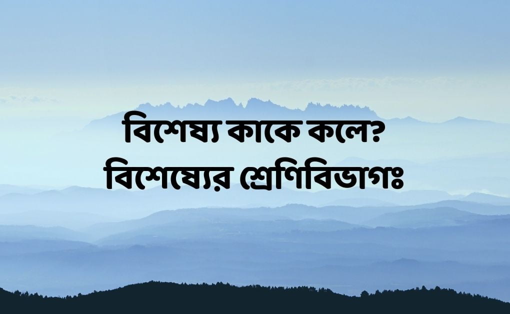 বিশেষ্য কাকে কলে বিশেষ্যের শ্রেণিবিভাগঃ