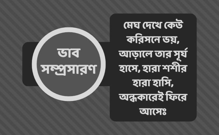 মেঘ দেখে কেউ করিসনে ভয়, আড়ালে তার সূর্য হাসে, হারা শশীর হারা হাসি, অন্ধকারেই ফিরে আসেঃ ভাব