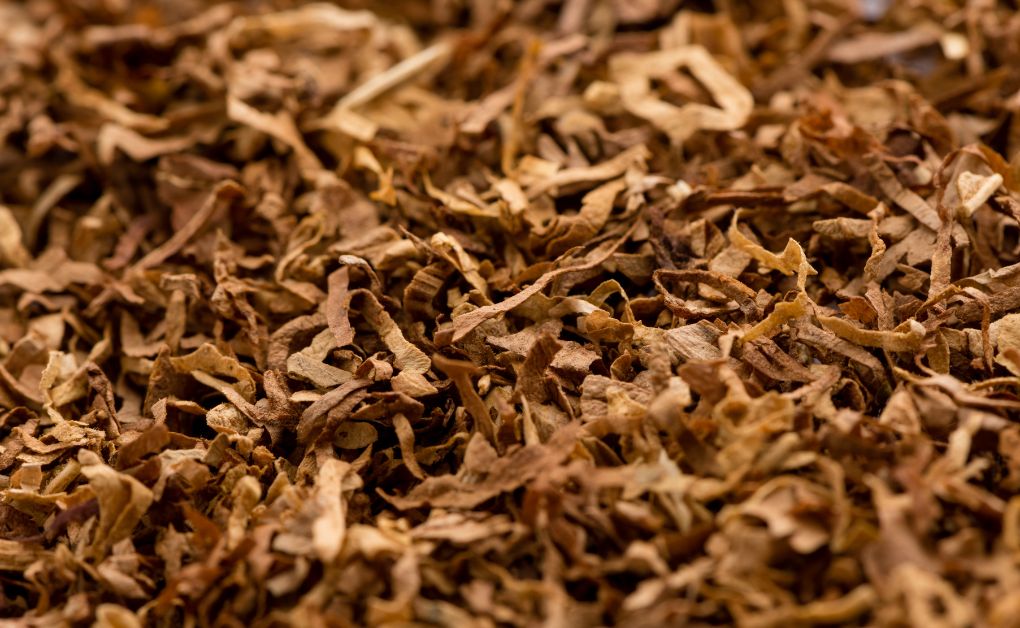 সমন্বয় (co-ordination) কার্যক্রমে তামাক ও মাদকদ্রব্যের প্রভাব ও তামাক ও মাদকদ্রব্যের থেকে পরিত্রাণের উপায়।