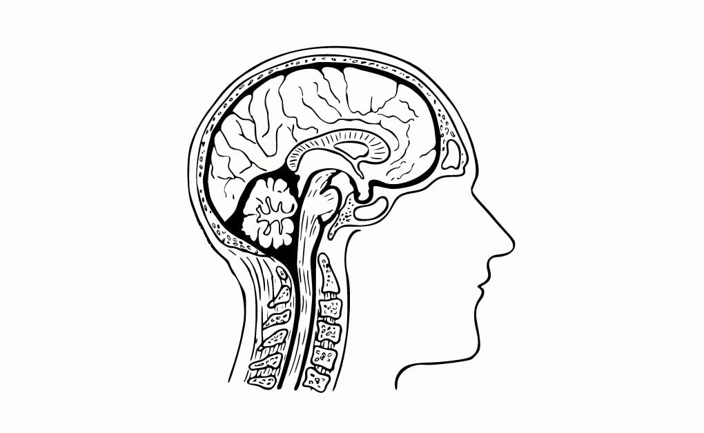 স্নায়বিক ও মাথার রোগ সমূহঃ প্যারালাইসিস (Paralysis), এপিলেপসি (Epilepsy) ও (c) পারকিনসন রোগ (Parkinson's disease) কি? রোগ হওয়ার কারণ ও রোগের লক্ষণ।