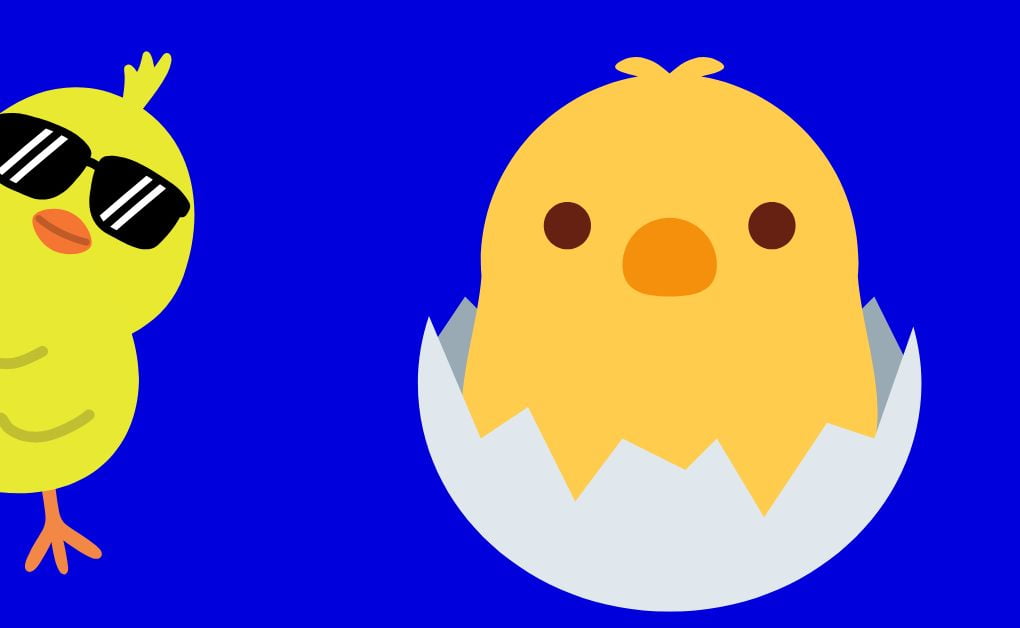 মুরগির ডিম ফুটানো ও বাচ্চা উৎপাদন পদ্ধতি (বিস্তরিত বর্ণনা)। (খামারিয়ান ব্লগ)