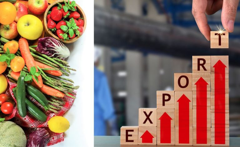 শাকসবজি ও ফলের আধুনিক উৎপাদন ও রপ্তানি ব্যবসাঃ বাজার ব্যবস্থা, করণীয় ও সম্ভাবনা।