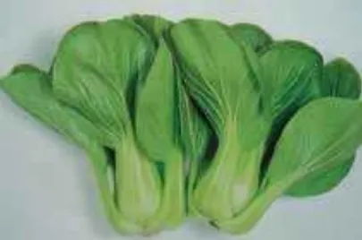 বারি চীনাশাক-১
