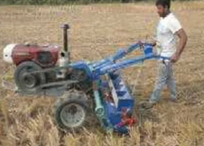 মডেল-২ দ্বারা গম বীজ বপন করা হচ্ছে