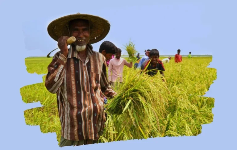 কৃষি এবং আমাদের সংস্কৃতি
