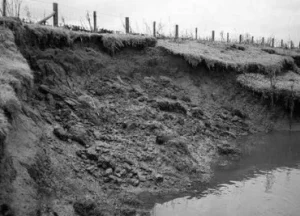 চিত্র- নদী ভাঙ্গন