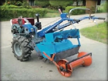 চিত্র- বেড প্লান্টার