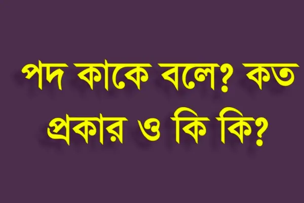 পদ কি বা কাকে বলে, পদ কত প্রকার ও কি কি