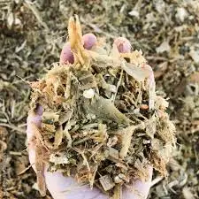 ভুট্টার সাইলেজ