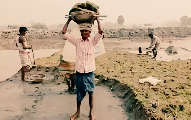 মাছের চাষ করতে পুকুর খনন এবং প্রস্তুতকরণ ও পোনা ছাড়ার পদ্ধতি