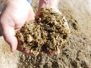 সাইলেজ কি