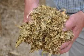 সাইলেজ ব্যবহারের সুবিধা