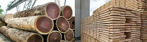 গোল কাঠ ও চিরাই কাঠের হিসাব বের করার নিয়ম