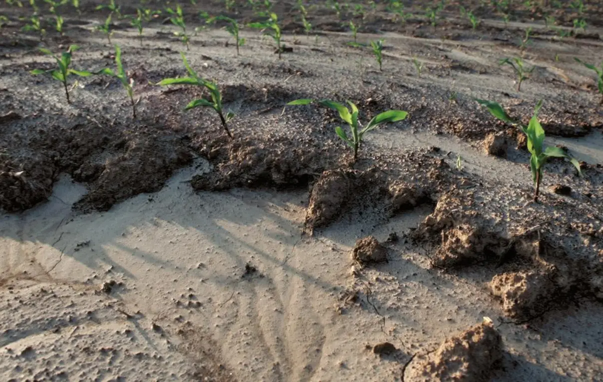 ভূমিক্ষয় কত প্রকার, ভূমিক্ষয়ের প্রকারভেদ