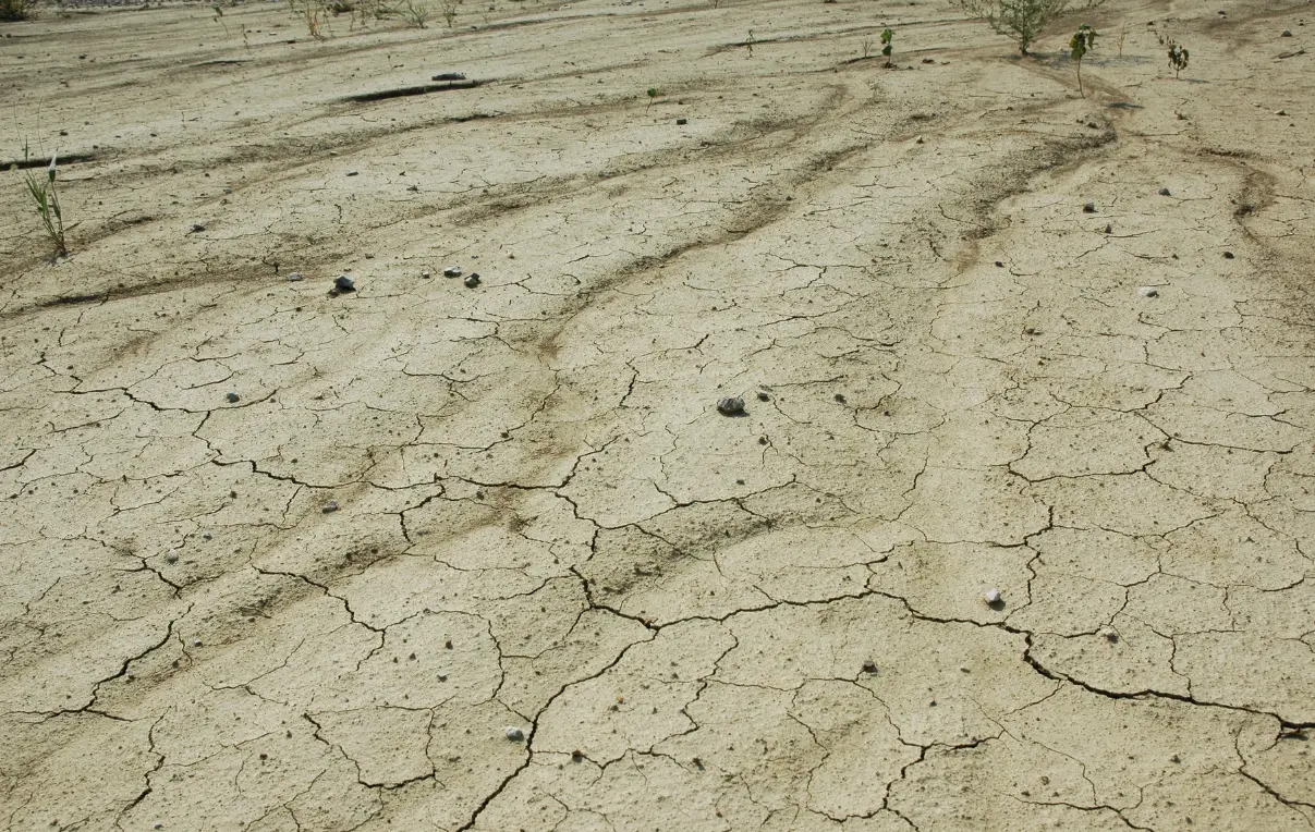 ভূমিক্ষয়ের ফলাফল বা কুফল