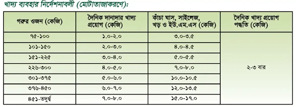 ওজন অনুযায়ী গরু মোটাতাজাকরণ খাদ্য তালিকা ও প্রয়োগের পরিমাণ