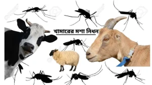খামারের মশা নিধন