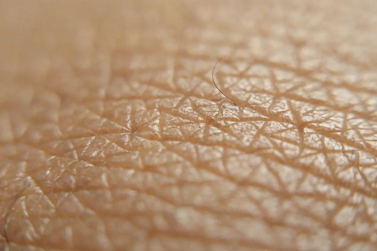 শীতে ছেলেদের ত্বক সতেজ রাখুন ৫টি কার্যকর উপায়ে