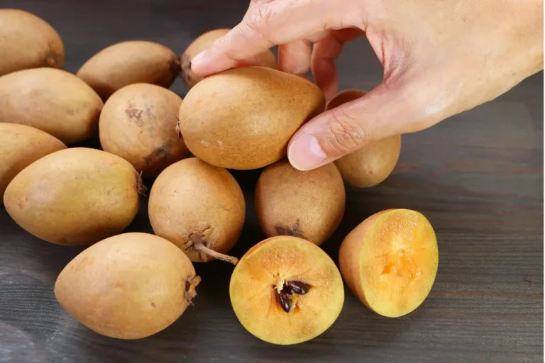 সফেদাঃ সফেদার উপকারিতা