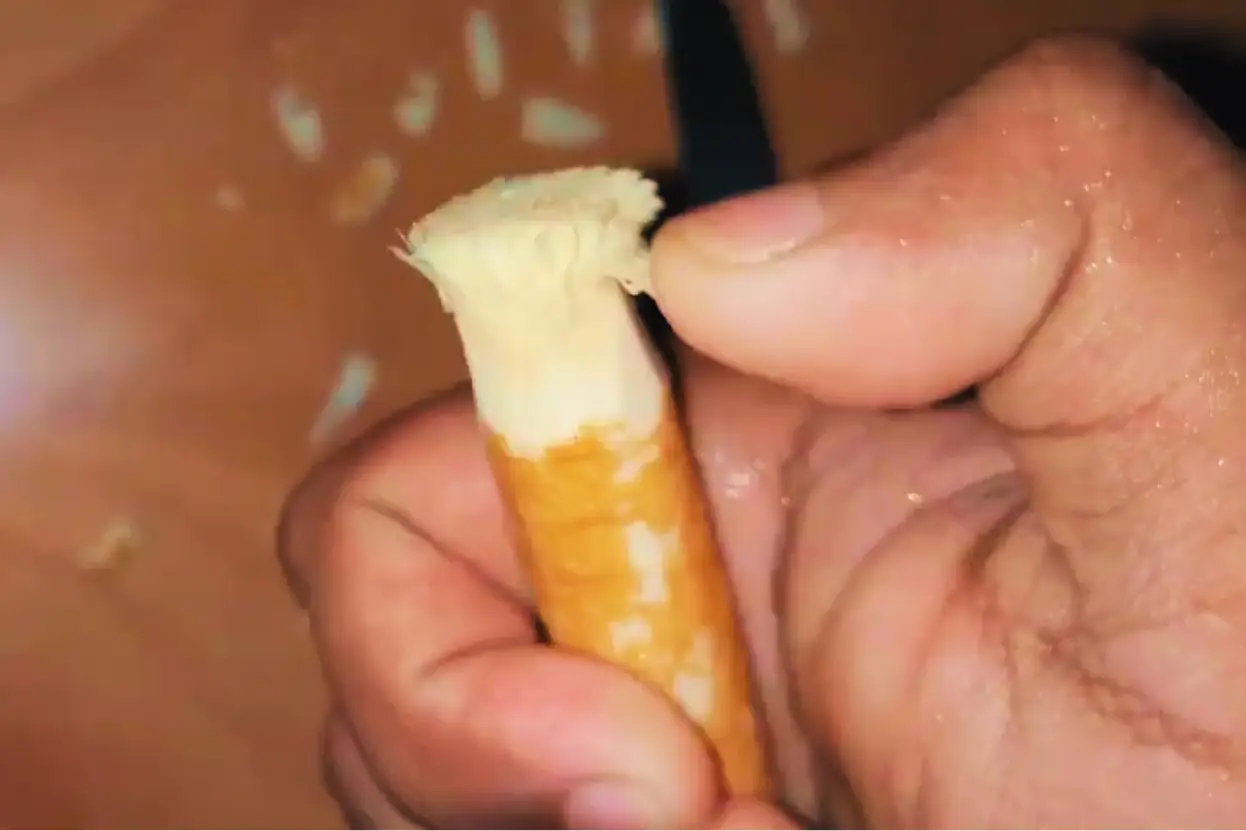 মেসওয়াক তৈরি করার ও ব্যবহারের নিয়ম পদ্ধতি, মেসওয়াকের দোয়া, গুরুত্ব, উপকারিতা, হাদিস,