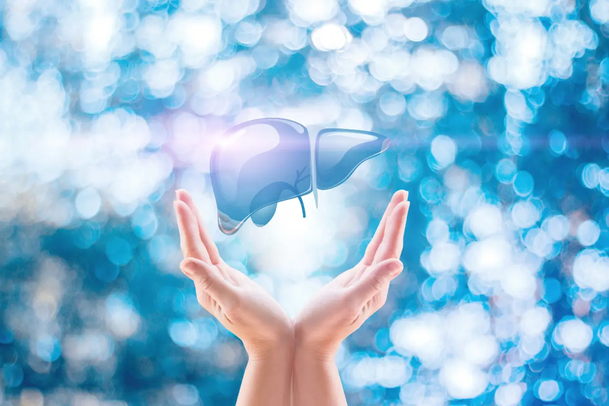 লিভার ভালো রাখার উপায়ঃ লিভারের স্বাস্থ্য রক্ষায় ৮টি প্রাকৃতিক উপাদান