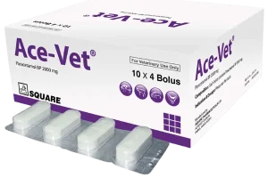 Ace-Vet (প্যারাসিটামল)