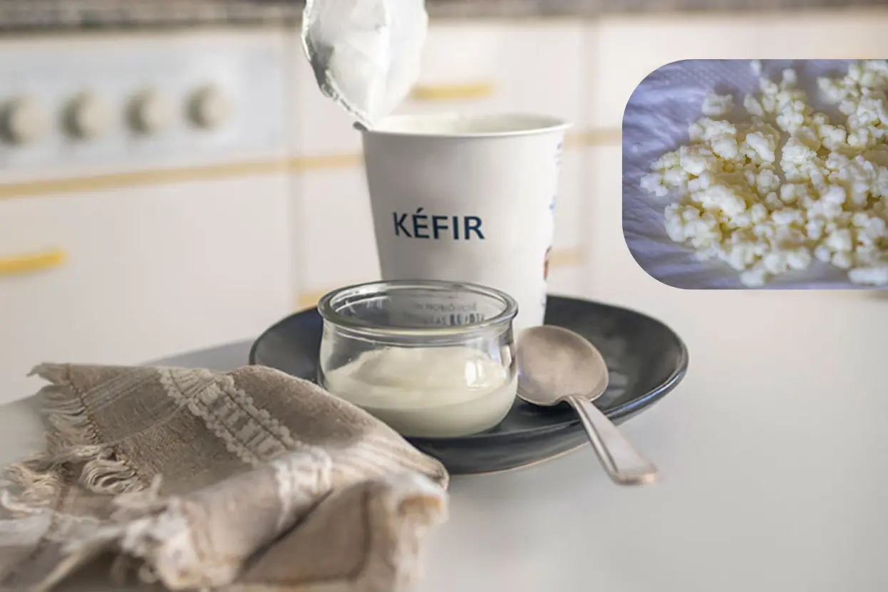 Kefir, The King of Fermented Foods~ইনফরমেশন বাংলা ডটকম~informationbangla.com