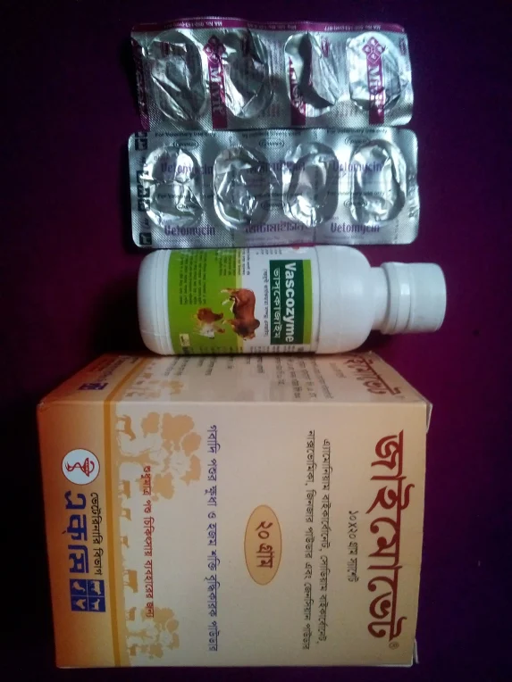 গরু-দানাদার-খাবার-খায়-না-ঔষধ-চিকিৎসা