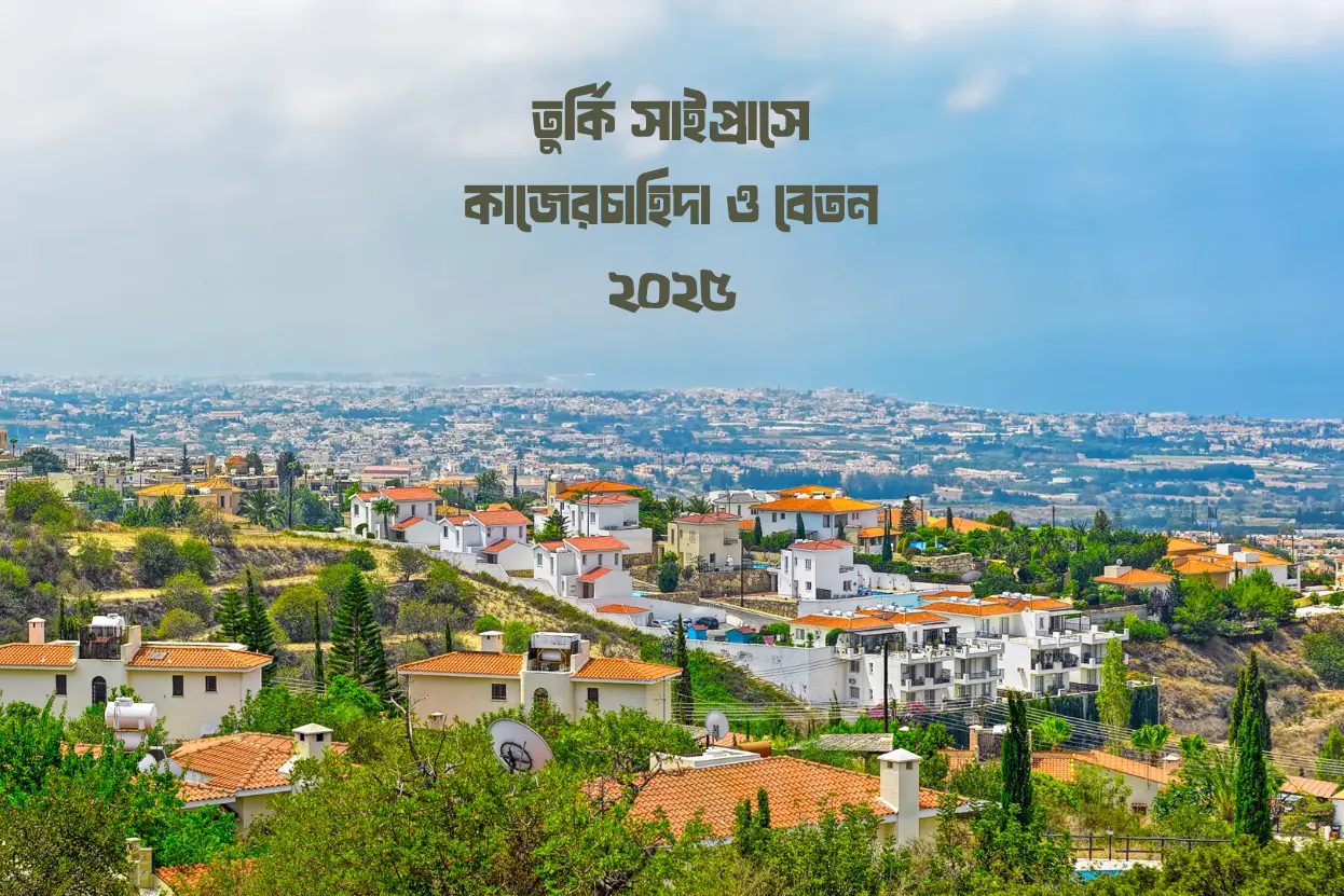 তুর্কি সাইপ্রাসে কোন কাজের ডিমান্ড বেশি, বেতন কত