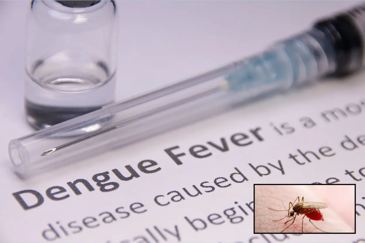 Dengue Fever, What to Do and What Not to Do for Effective Management~Dengue Fever: What to Do and What Not to Do for Effective Management~ইনফরমেশন বাংলা ডটকম~informationbangla.com