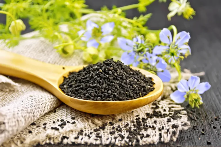 কালোজিরার বৈশিষ্ট্যঃ কালোজিরার ১১টি জাদুকরী গুণ