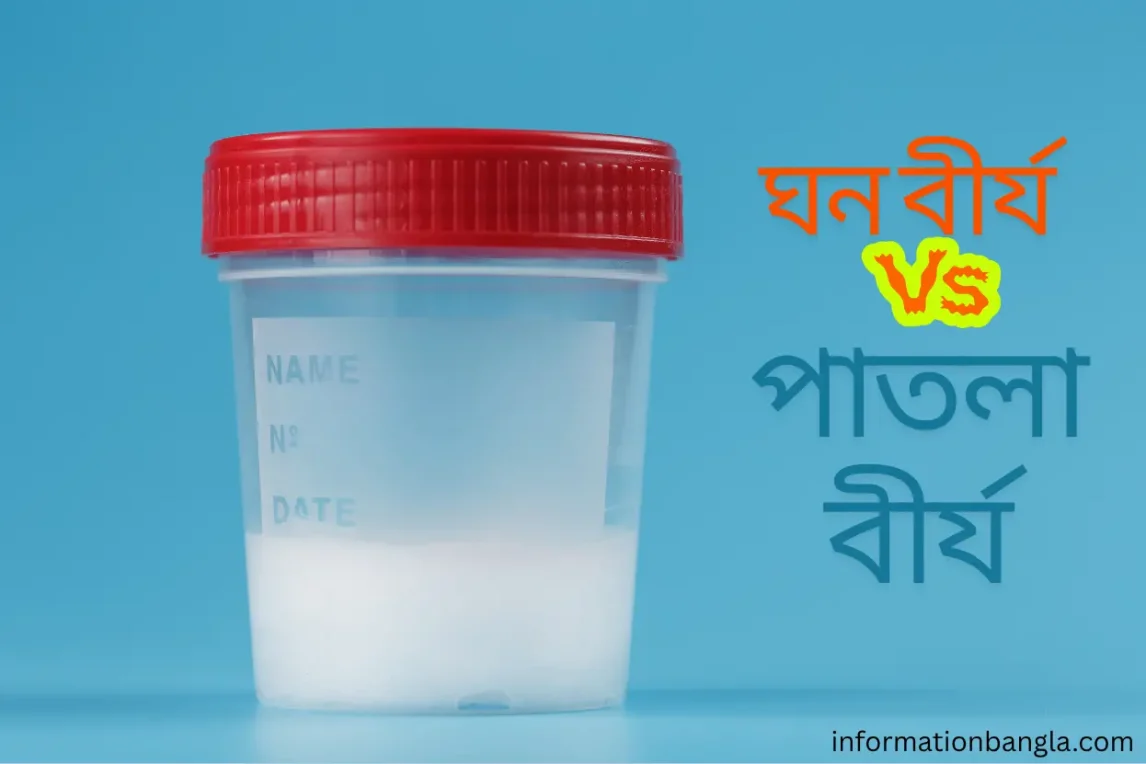 বীর্য ঘন না পাতলা কোনটা ভালো, বীর্য ঘন ও পাতলা হওয়ার কারণ, বীর্যের মান ভালো রাখার উপায়