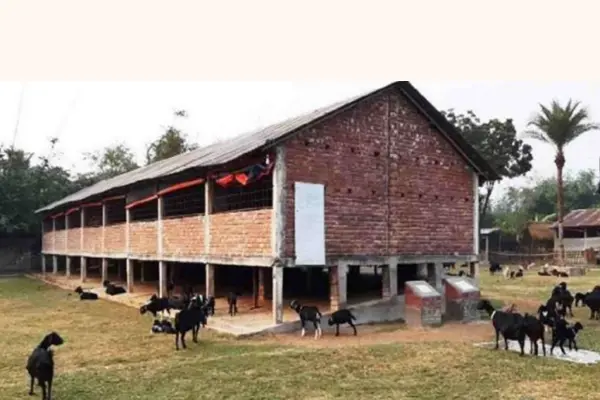 ছাগল পালনের উপকারিতা, ছাগল পালনের সুবিধা, বাংলাদেশে ছাগল পালনের সমস্যাসমূহ