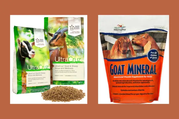 ছাগলের ভিটামিন ঔষধের নাম informationbangla.com