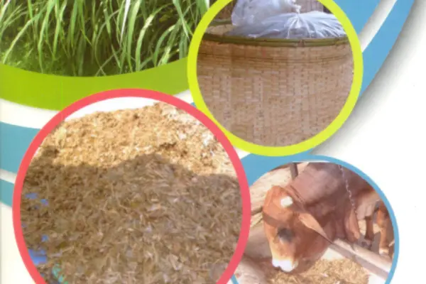 ডোল পদ্ধতিতে কাঁচা ঘাস সংরক্ষণের পদ্ধতি বা সাইলেজ তৈরির উপায়