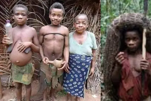 পৃথিবীর সবচেয়ে খাটো সাইজের মানুষঃ পিগমি জাতি