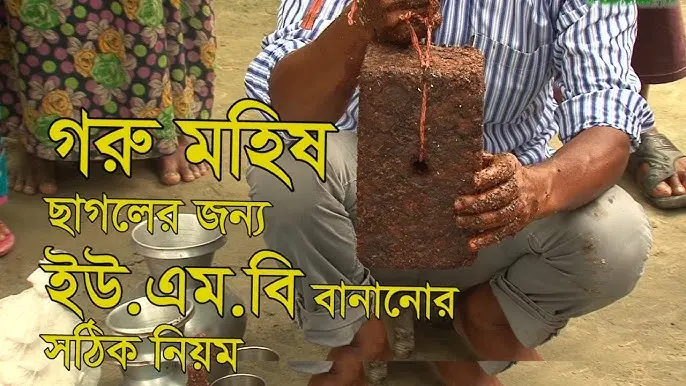 ইউরিয়া মোলাসেস ব্লক